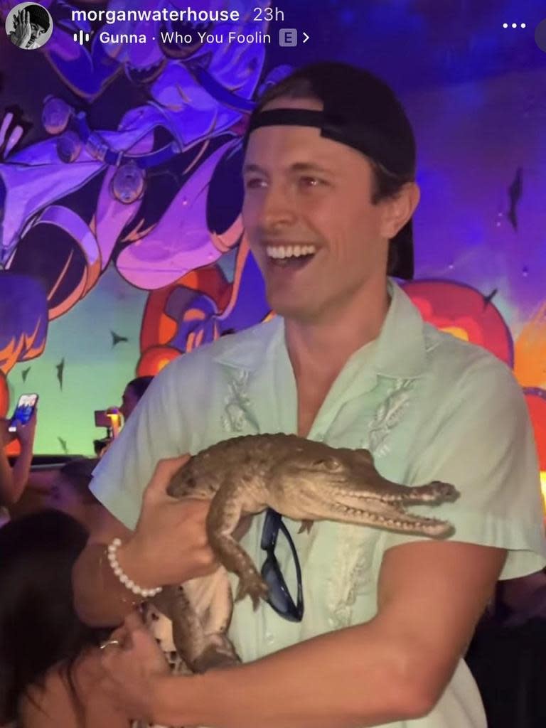 A Melbourne bar has been slammed for bringing live reptiles to its relaunch on the weekend, with photos showing influencers holding snakes and baby crocodiles sending Instagram into uproar. Picture: Instagram