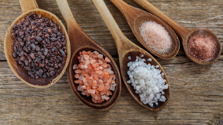 different salt types in wooden spoons