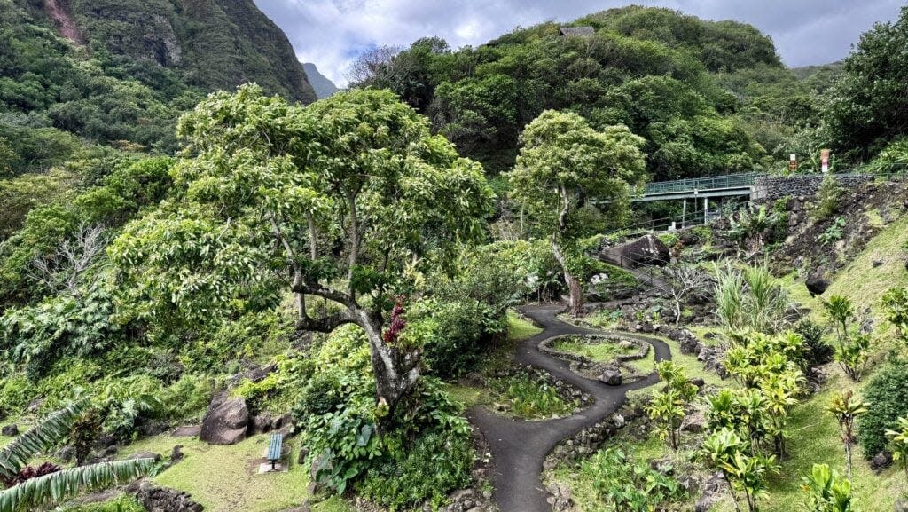 ‘Iao Valley State Park on Maui