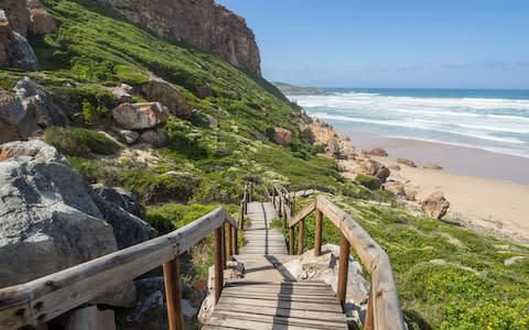 Garden Route National Park - Credit: Fabian Plock