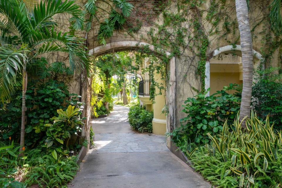 Vine-covered arch at the Pueblo Bonito Emerald Bay Resort in Mexico