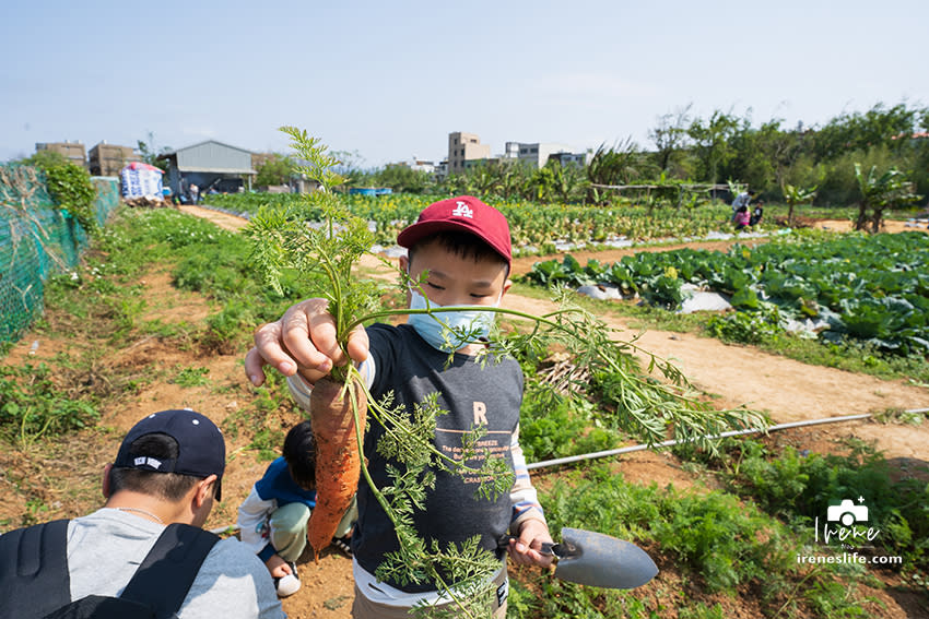 桃園｜文新小農夫親子農園