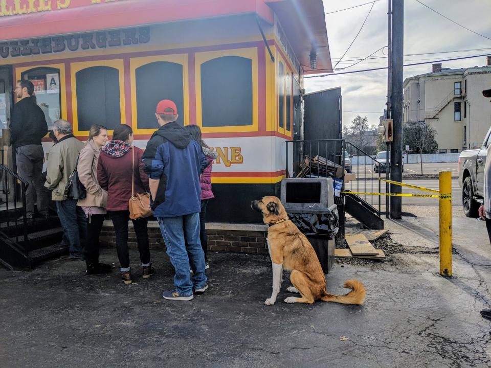 Dana McMahan's dog Cash enjoys outings to Ollie's Trolley in Old Louisville.