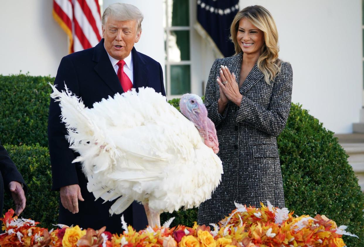 Le président américain Donald Trump et la première dame Melania Trump devant la dinde de Thanksgiving 