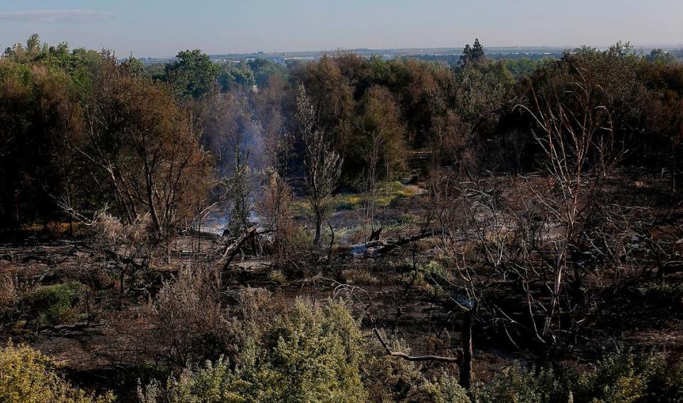 Smoke from smoldering trees rises into the air in Kennewick’s Zintel Canyon as viewed early Monday morning from the West 10th Avenue bridge. A brush fire pushed by gusting winds Sunday afternoon destroyed one house and scorched the canyon area between 7th and 10th Avenues.