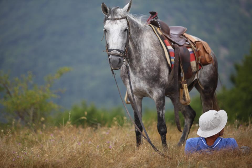 Ride into rural Bulgaria - Credit: ladpix