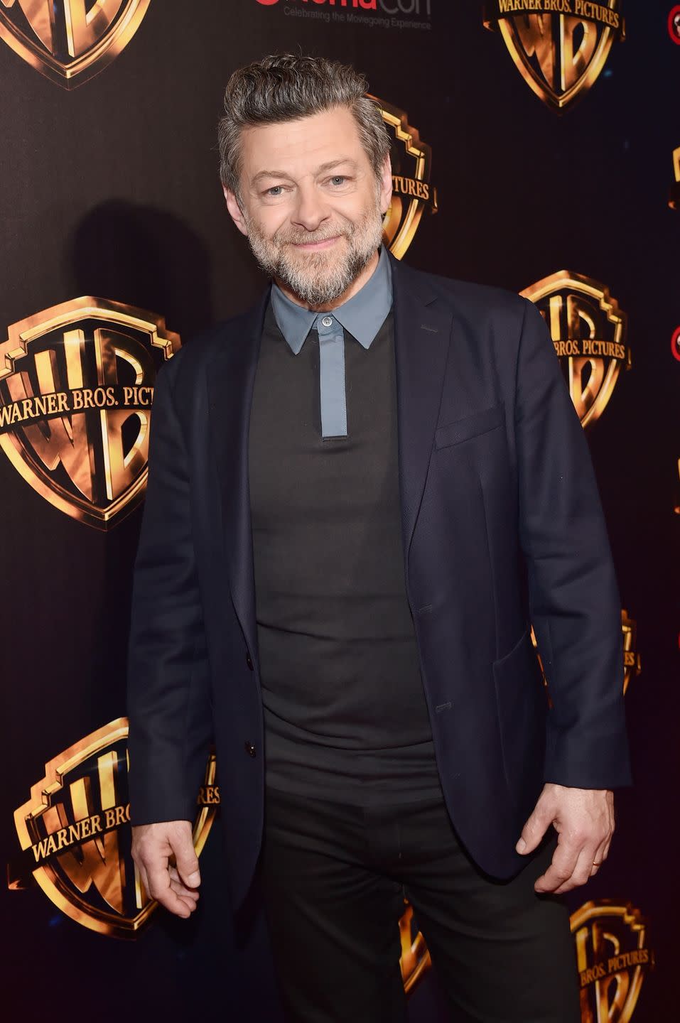 Andy Serkis: Alfred Pennyworth