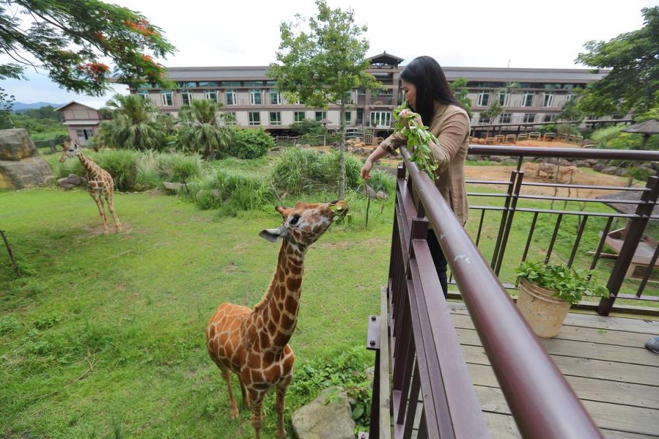 開玩笑說六福莊、六福村裡已經有不少動物，莊豐如拒絕女兒養寵物的要求。