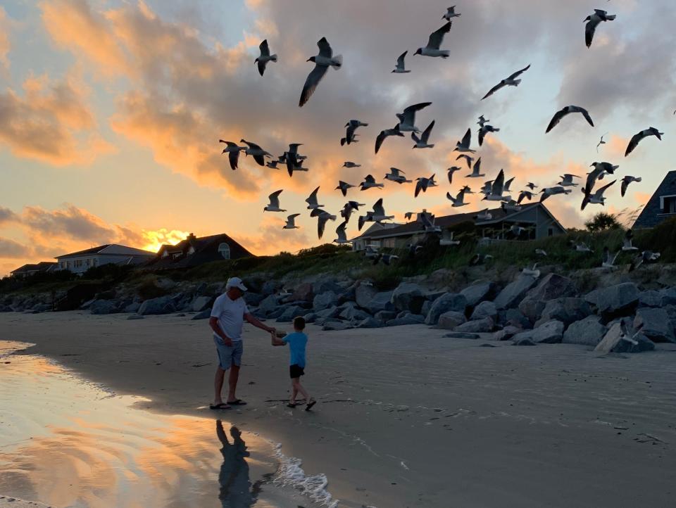 A bunch of seagulls flying over the beach at sunset.