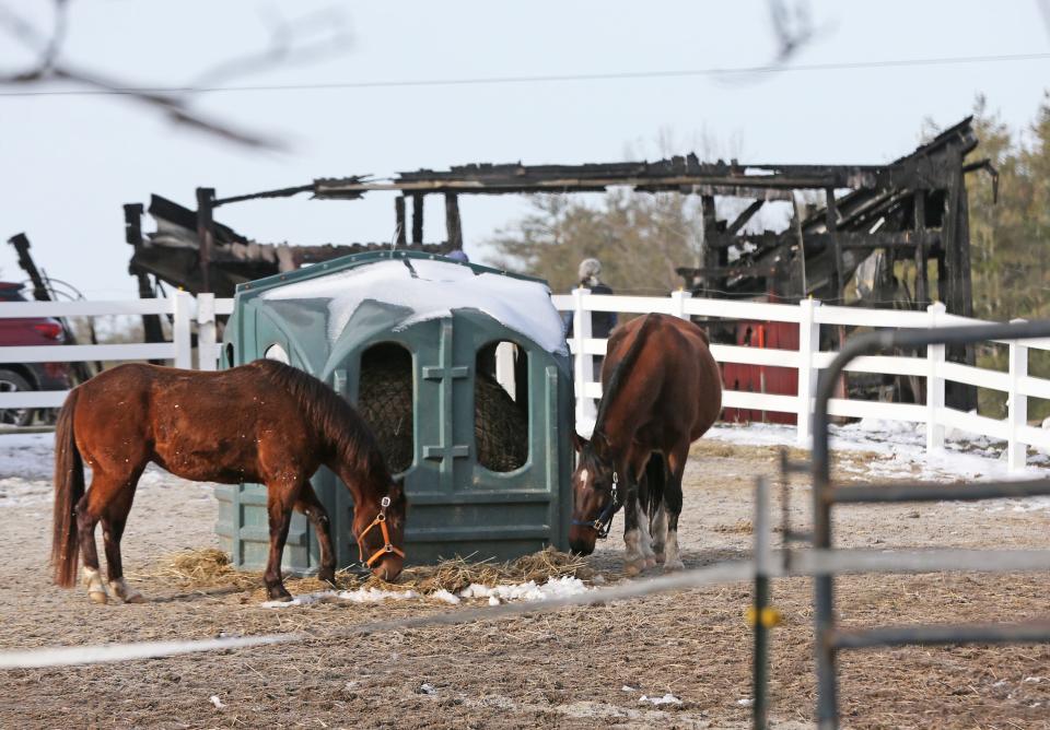Hickory Hill Farm at 245 Back Road in Dover, which lost two barns to a fire early Sunday, March 24, 2024, is seen Monday where horses that survived the blaze are seen.
