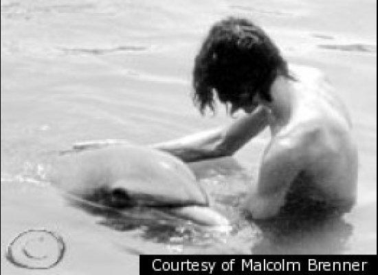 In a book entitled &quot;Wet Goddess,&quot; Malcom Brenner writes about a nine-month romantic--and sexual--affair between a man and a dolphin, a story that he says bears a striking resemblance to his own real-life experience.    Brenner claims that in the 1970s, when he was in his 20s, he had an erotic relationship with a dolphin named Dolly.    &lt;a href=&quot;http://www.huffingtonpost.com/2011/09/23/malcolm-brenner-dolphin_n_974764.html&quot; target=&quot;_hplink&quot;&gt;Read more. &lt;/a&gt;