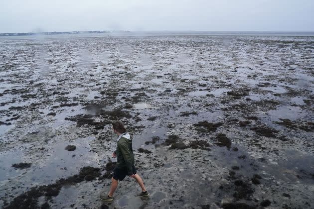 A man walks through the mudflats as the tide recedes from Tampa Bay as Hurricane Ian approaches Wednesday in Tampa, Florida. Ian intensified to just shy of catastrophic Category 5 strength. (Photo: BRYAN R. SMITH via Getty Images)