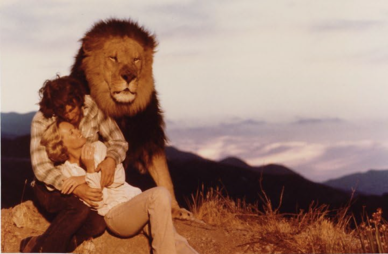 <p>"No animals were harmed during the production of this movie." Only Humans. Filming a movie with a number of lions and tigers, what can go wrong, one might think?<a href="https://www.newyorker.com/culture/the-front-row/noel-marshalls-roar-humans-were-harmed-in-the-making-of-this-film#:~:text=The%20cast%20and%20crew%20of,mauled%20repeatedly%2C%20had%20blood%20poisoning." rel="nofollow noopener" target="_blank" data-ylk="slk:Well, a lot.;elm:context_link;itc:0;sec:content-canvas" class="link rapid-noclick-resp"> Well, a lot.</a></p><p><a href="https://www.newyorker.com/culture/the-front-row/noel-marshalls-roar-humans-were-harmed-in-the-making-of-this-film#:~:text=The%20cast%20and%20crew%20of,mauled%20repeatedly%2C%20had%20blood%20poisoning." rel="nofollow noopener" target="_blank" data-ylk="slk:;elm:context_link;itc:0;sec:content-canvas" class="link rapid-noclick-resp"><br></a>The production of "The Roar" (1981) was fraught with a series of incidents and mishaps that turned the filming process into a nightmare for those involved. Led by Tippi Hedren and her husband Noel Marshall, the movie aimed to capture the unique dynamic between humans and a multitude of lions and tigers. However, the reality behind the scenes was far from the romanticized vision depicted on screen.</p><p><br></p><p>As documented in Hedren's autobiography, the shoot happened at the couple's California home, where they lived alongside the animals. Melanie Griffith, Hedren's daughter, suffered a severe mauling near her eye, necessitating plastic surgery. Hedren herself endured the agony of gangrene and required extensive skin grafts. Meanwhile, Marshall, taking on the male lead role, experienced repeated attacks and ultimately contracted blood poisoning. The cinematographer, Jan de Bont, also fell victim to the chaos, enduring a scalp-tearing injury that demanded 120 stitches. So yes, we guess they did capture the unique dynamic between humans and animals.</p><p><br></p><span class="copyright"> IMDb </span>