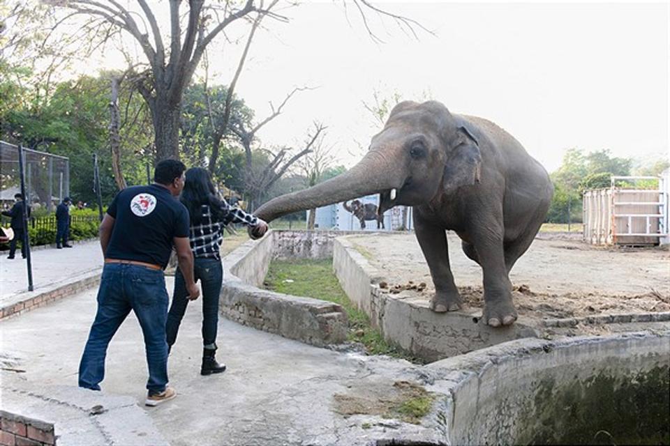 In Pakistan half Cher unter anderem dabei, Kavaan zu füttern. (Bild: ServusTV/Zoobs Ansari )