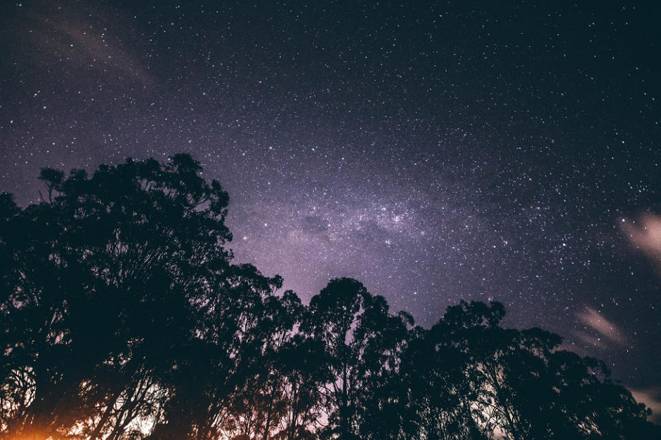 星空(Photo Credit: Pexels@pixabay.com, License CC0，圖片來源：https://pixabay.com/zh/photos/low-angle-shot-night-sky-starry-sky-1834830/)