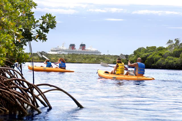 <p>Disney Cruise Lines</p>