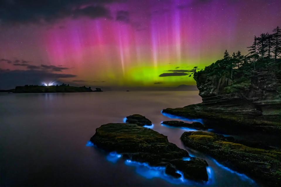 Aurora Bioluminescence