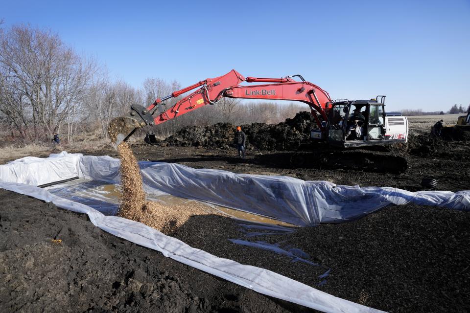 Workers install wood chips in a bioreactor trench in a farm field, Tuesday, March 28, 2023, near Roland, Iowa. Simple systems called bioreactors and streamside buffers help filter nitrates from rainwater before it can reach streams and rivers. (AP Photo/Charlie Neibergall)