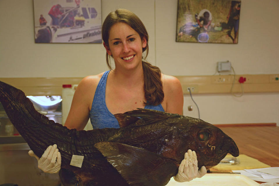 Kristin Walovich holds the 50th described species of ghost shark on record. The animal's nose is usually pointy, but it became crooked during its preservation. <cite>Courtesy of Kristin Walovich</cite>