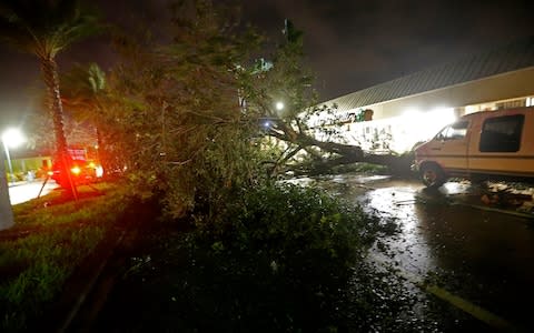 A downed tree lies across Cape Coral Parkway during Hurricane Irma in downtown Cape Coral, Florida - Credit: AP