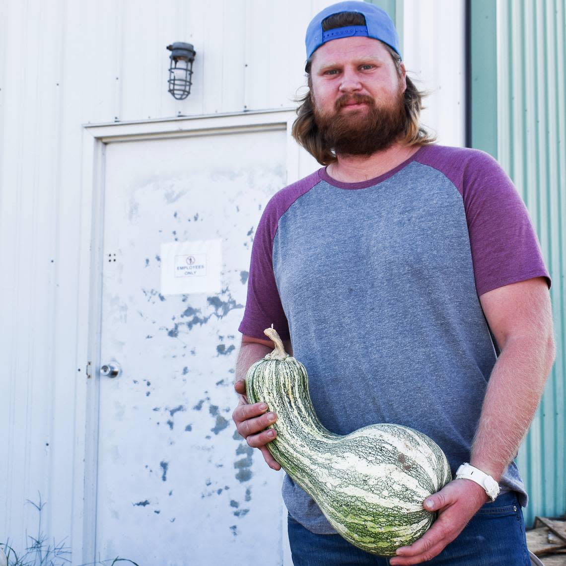 Beckham Sharpe grows cushaws on his farm in Scott County. While some people buy them for decorations, others know that they make for a delicious treat.