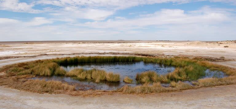 La Cuenca Artesiana de Australia se expresa en pozos que surgen en pleno desierto de este país