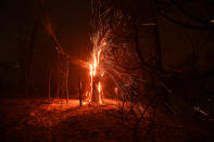 <p>Embers fly from a tree as the Ponderosa fire burns east of Oroville, Calif., Aug. 29, 2017. (Photo: Noah Berger/Reuters) </p>