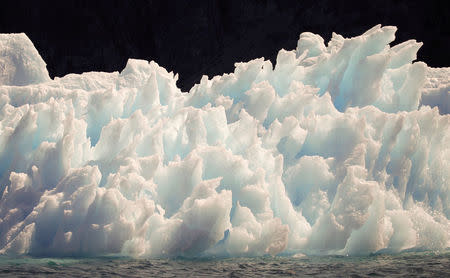 A large iceberg melts into jagged edges as it floats in Eriks Fjord near the town of Narsarsuaq in southern Greenland July 26, 2009. REUTERS/Bob Strong/File Photo