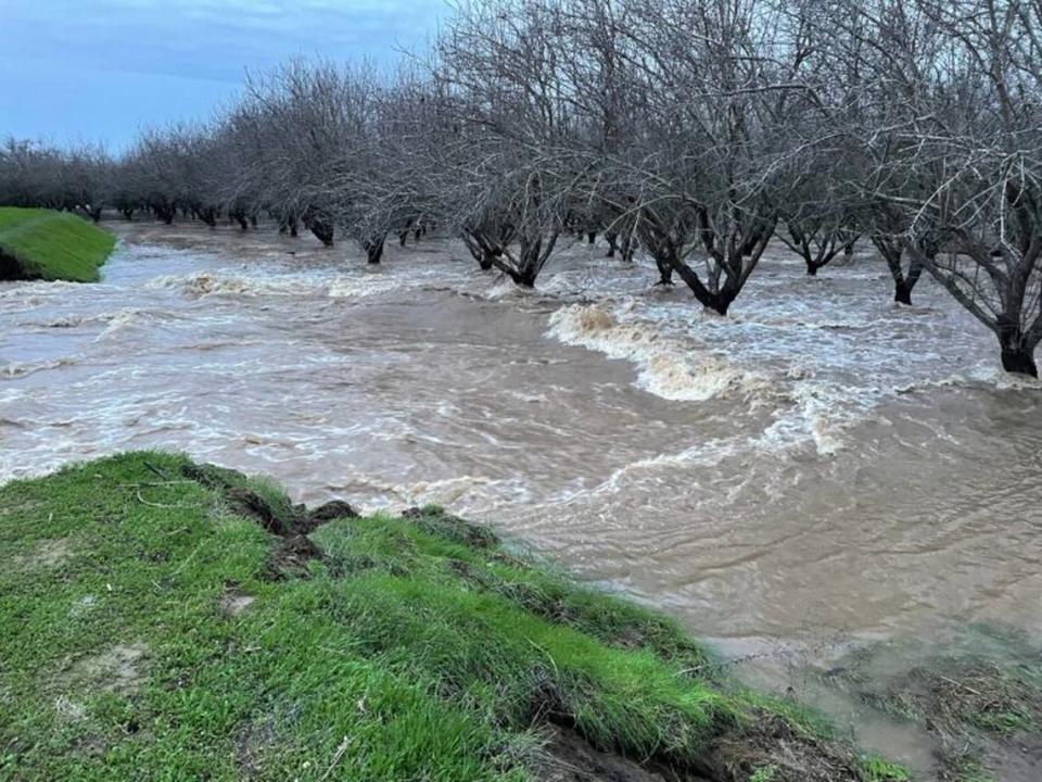 Flood water rushes through a Merced County almond orchard following storms in January 2023.