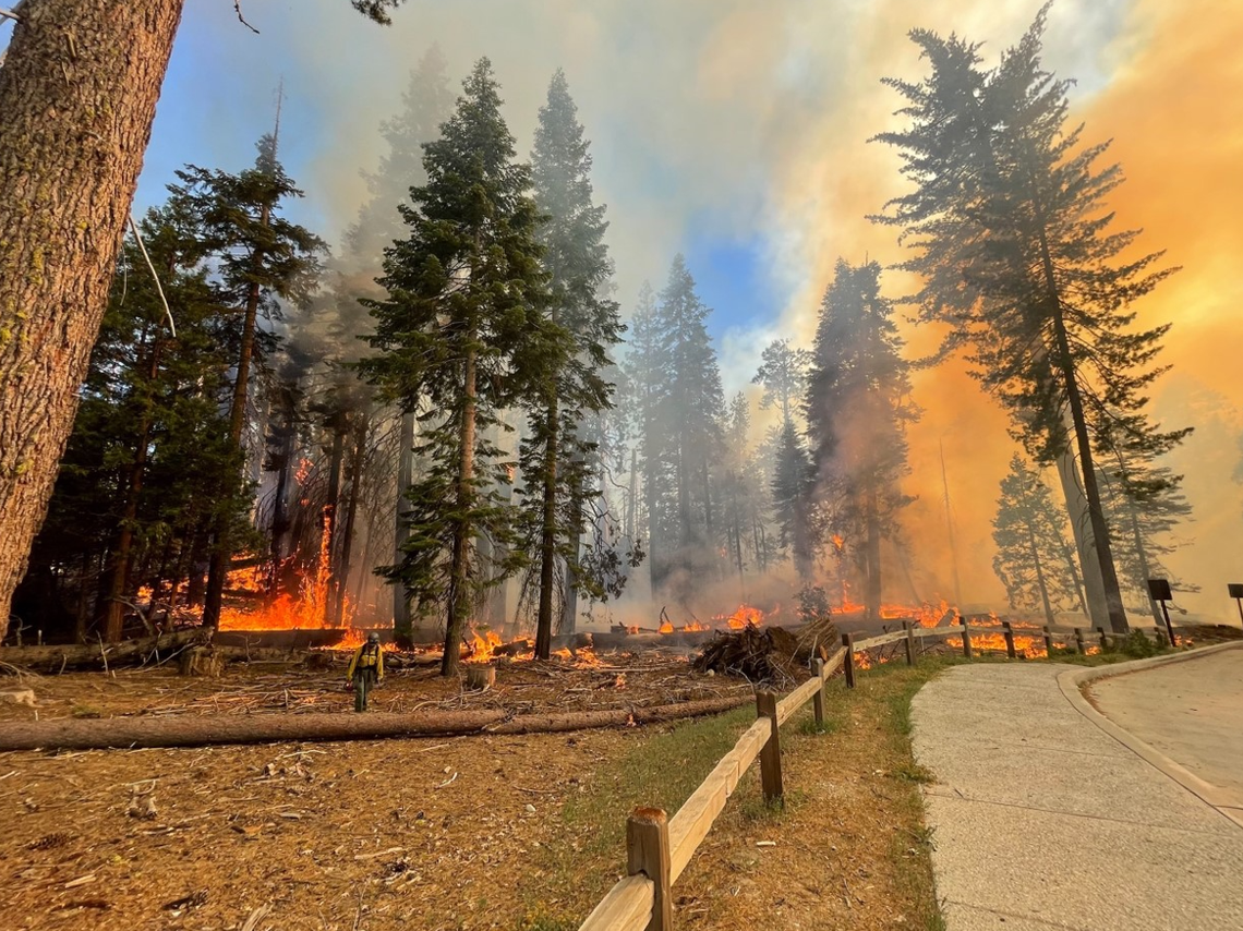 Firefighters in Mariposa Grove, July 7, 2022. 