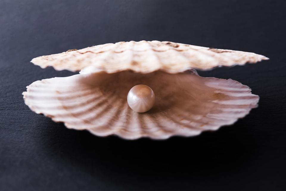 <p>Getty</p> Stock image of shell with pearl