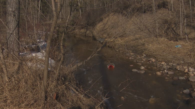 Mill Creek water quality ranks lowest of 10 urban Alberta creeks