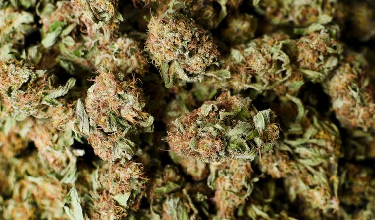 Marijuana Legalization in Massachusetts Could Rake in a Whopping $1 Billion in 4 Years