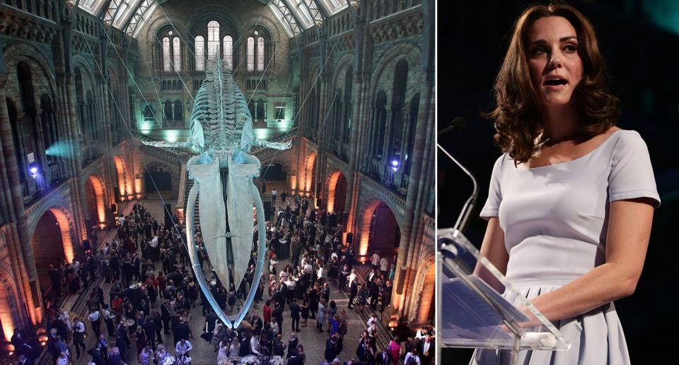 In pictures: Duchess of Cambridge unveils 'Hope' the whale at Natural History Museum