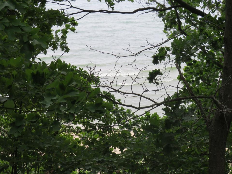 Lake Michigan is visible through the trees at the Rosenberg Property, 4036 Hillside Trail in Laketown Township.