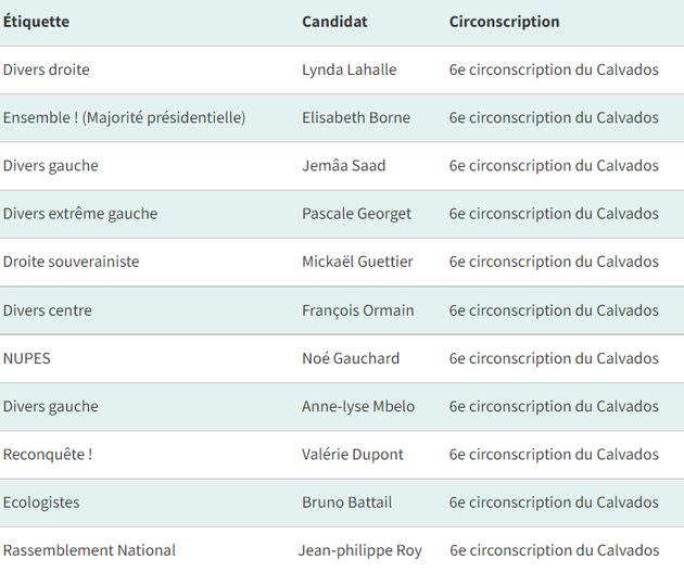 Les candidats aux législatives dans la 6e circonscription du Calvados où se présente Elisabeth Borne. (Photo: Le HuffPost)