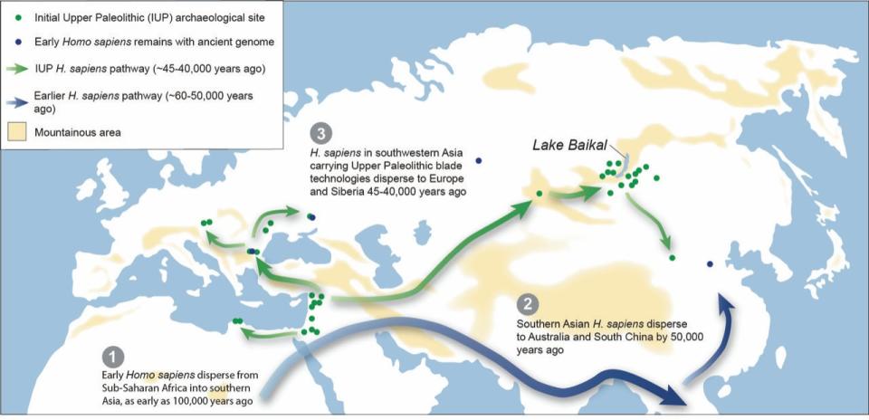 A map of theorized migration routes of early Homo sapiens from Africa across Eurasia. CREDIT: Ted Goebel.