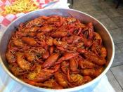 <p>The Gulf of Mexico and other Mississippi waters yield a bounty of <a href="https://www.thedailymeal.com/best-recipe/shrimp-creole-cajun-louisiana?referrer=yahoo&category=beauty_food&include_utm=1&utm_medium=referral&utm_source=yahoo&utm_campaign=feed" rel="nofollow noopener" target="_blank" data-ylk="slk:shrimp;elm:context_link;itc:0;sec:content-canvas" class="link ">shrimp</a>, <a href="https://www.thedailymeal.com/recipes/fried-shrimp-oyster-poboy-recipe?referrer=yahoo&category=beauty_food&include_utm=1&utm_medium=referral&utm_source=yahoo&utm_campaign=feed" rel="nofollow noopener" target="_blank" data-ylk="slk:oysters;elm:context_link;itc:0;sec:content-canvas" class="link ">oysters</a> and <a href="https://www.thedailymeal.com/recipes/crawfish-boil-david-kinch-recipe?referrer=yahoo&category=beauty_food&include_utm=1&utm_medium=referral&utm_source=yahoo&utm_campaign=feed" rel="nofollow noopener" target="_blank" data-ylk="slk:crawfish;elm:context_link;itc:0;sec:content-canvas" class="link ">crawfish</a>, as well as fish including black drum, cobia, flounder, <a href="https://www.thedailymeal.com/best-recipes/fried-catfish-homemade-tartar-sauce?referrer=yahoo&category=beauty_food&include_utm=1&utm_medium=referral&utm_source=yahoo&utm_campaign=feed" rel="nofollow noopener" target="_blank" data-ylk="slk:catfish;elm:context_link;itc:0;sec:content-canvas" class="link ">catfish</a>, mackerel and red snapper. <a href="https://www.thedailymeal.com/best-recipes/24-foolproof-seafood-recipes-anyone-can-cook-slideshow?referrer=yahoo&category=beauty_food&include_utm=1&utm_medium=referral&utm_source=yahoo&utm_campaign=feed" rel="nofollow noopener" target="_blank" data-ylk="slk:It's a dream for seafood lovers;elm:context_link;itc:0;sec:content-canvas" class="link ">It's a dream for seafood lovers</a>. Don’t miss out on an opportunity to sample some of the local catch, particularly at Mary Mahoney’s or McElroy’s in Biloxi.</p>