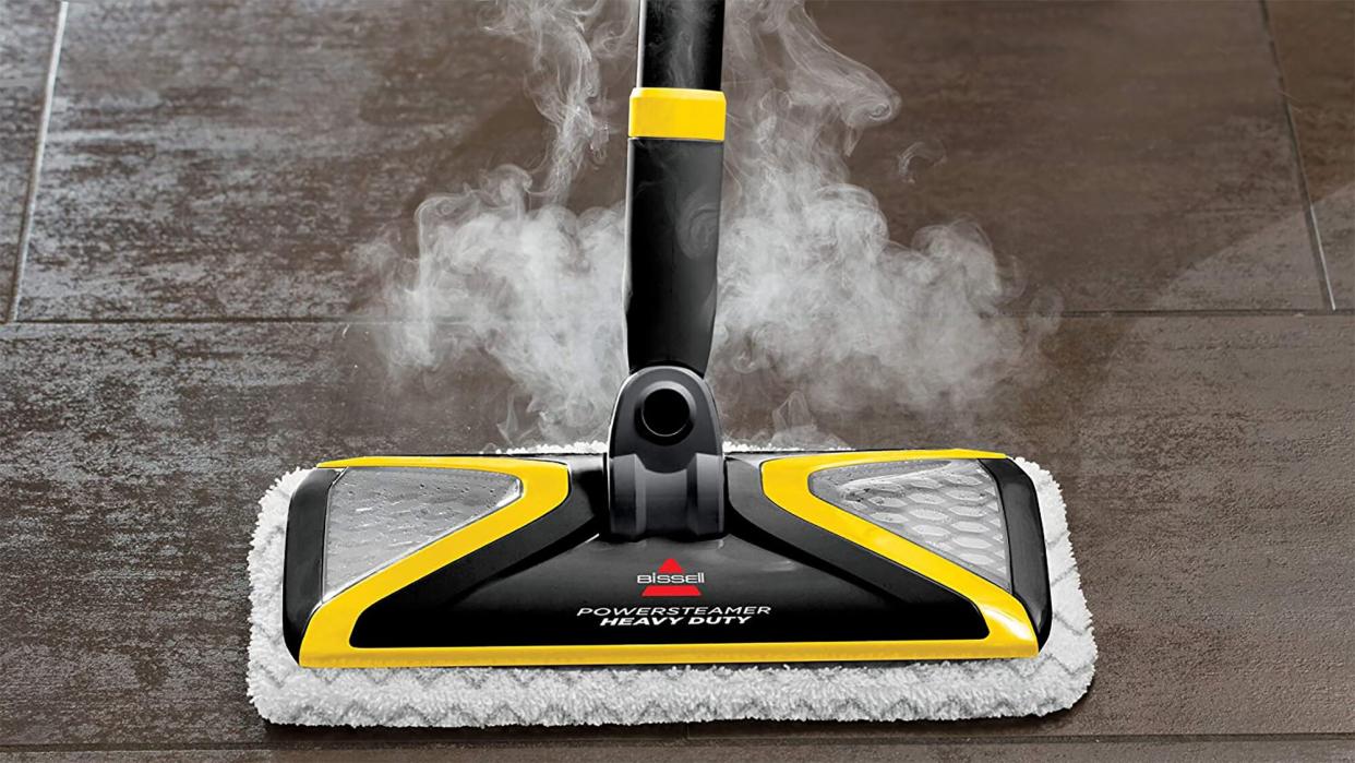 steam mops