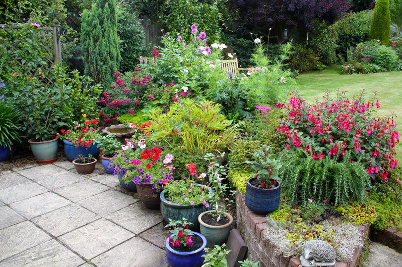English domestic garden with patio, flower pots and flowerbed full of brightly coloured flowers, fuchsias, cosmos flowers, dahlias, geraniums, roses, hibiscus, calibrachoa and lupins, in horizontal format. Haslemere, Surrey, England, UK.