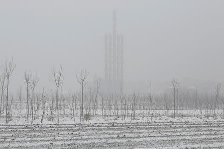 A plant inside the Guantao Chemical Industry Park is seen behind farmland near the village of East Luzhuang, Hebei province, February 22, 2017. Picture taken February 22, 2017. REUTERS/Thomas Peter