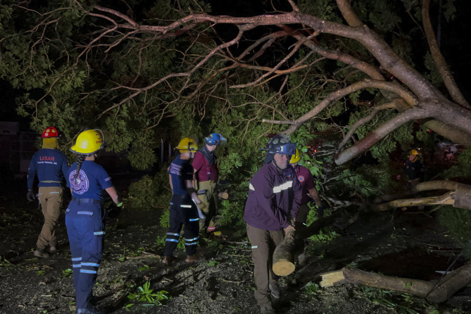 Firefighters remove trees felled by the winds from Hurricane Lidia in Puerto Vallarta, Mexico, Wednesday, Oct. 11, 2023. Lidia dissipated Wednesday after hitting land as a Category 4 hurricane. (AP Photo/Valentin Gonzalez)