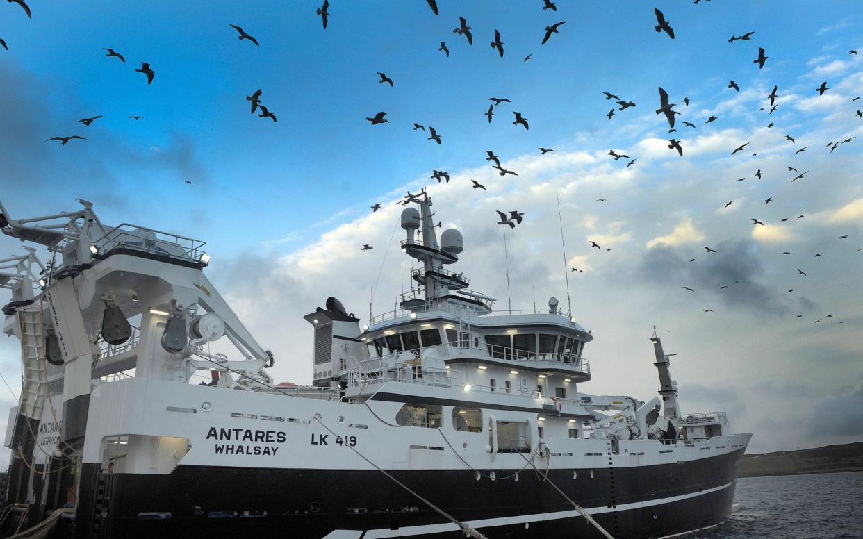 Brexiteers argued that the British fishing industry was crippled by membership of the EU's Common Fisheries Policy.  - AFP