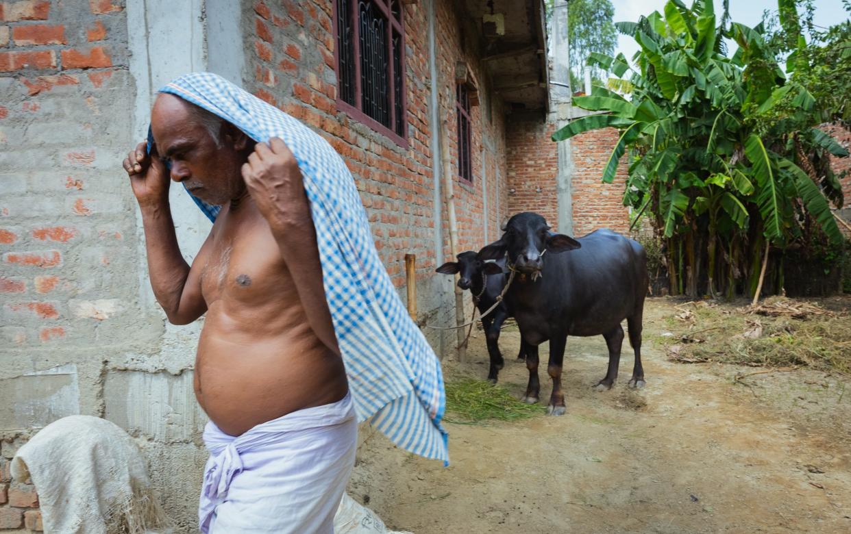 An agricultural worker walks away from buffalo he has just tied to a post outside his home in Janakpur, Nepal