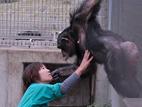 Kanako interacts with a familiar caretaker.