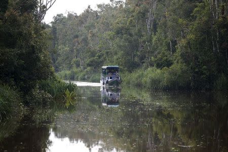 A tourist boat travels along a river in Tanjung Puting National Park in Central Kalimantan province, Indonesia June 14, 2015. REUTERS/Darren Whiteside