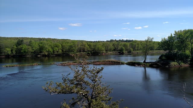 <p><span>Afluente del río Misisipi, alberga incontables especies de peces y otros animales. Es un destino predilecto para ir a nadar durante el verano.</span> </p>