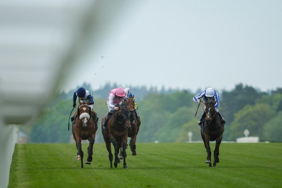 Caius Chorister (right) battles out the finish to the Sagaro Stakes