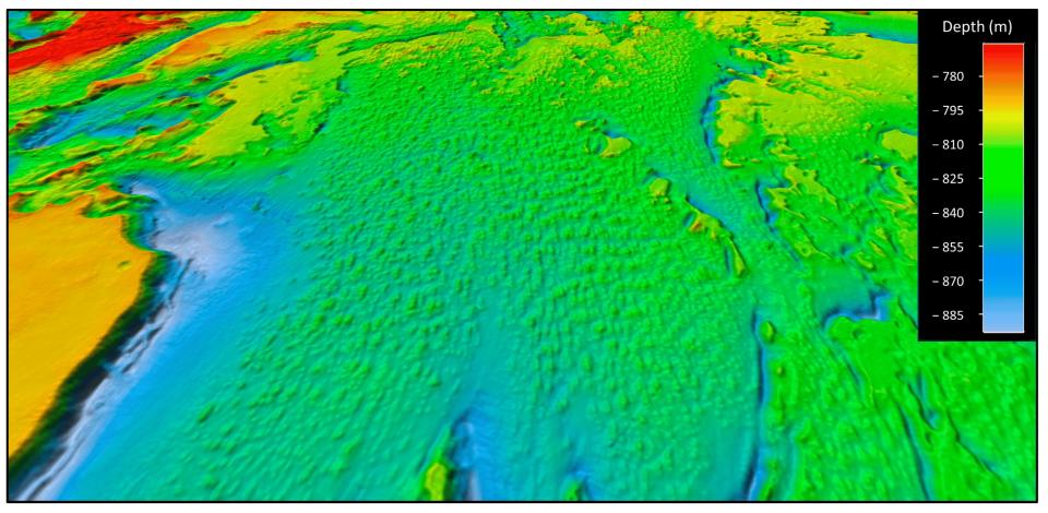 科學家以聲納建構出深海珊瑚礁的3D透視圖（圖／取自MDPI網站）