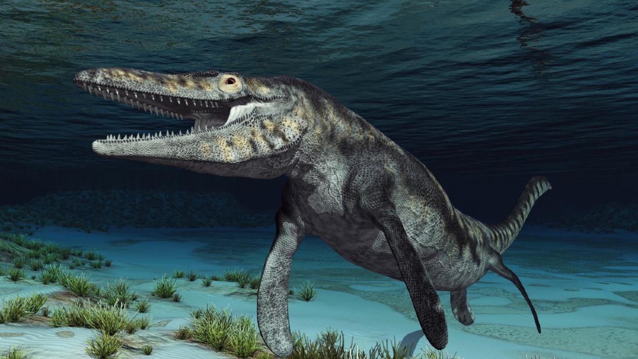 An illustration of a mosasaur near the sea floor